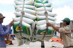 3 tháng đầu năm, xuất khẩu 162.000 tấn gạo sang Trung Quốc với giá cao vọt