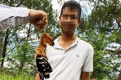 Bắn cặp chim đầu rìu tuyệt đẹp, cư dân mạng lên án báo công an