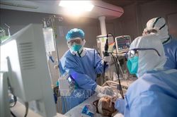 Trung Quốc ghi nhận 12 ca nhiễm mới virus SARS-CoV-2