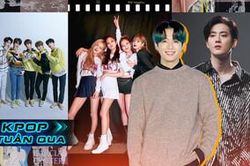 Kpop tuần qua: BlackPink đạt doanh thu mới trên Hanteo, Jungkook và TXT phá đảo thành tích Twitter, Suho (EXO) chạm đỉnh BXH Global Album