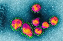 Phát hiện mới về đột biến chưa từng thấy của virus corona