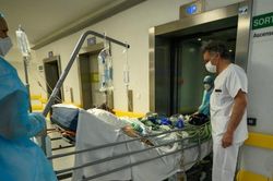 Dịch viêm đường hô hấp cấp COVID-19: Pháp nghi nhận hơn 20.000 ca tử vong
