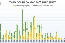 Ngày thứ 5 liên tiếp, Việt Nam không có thêm bệnh nhân Covid-19