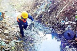 Vi phạm Luật Bảo vệ môi trường có thể phải lao động công ích