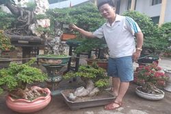 Người 'thổi hồn' vào cây cảnh ở Tây Nguyên