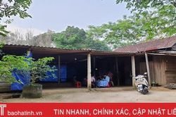 'Chúng cháu chỉ ước được bên nhau trong ngôi nhà vẫn còn hơi ấm của mẹ'