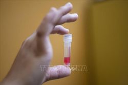 Tín hiệu tích cực trong nghiên cứu và phát triển vaccine phòng, chống COVID-19