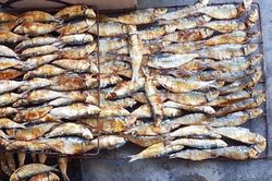 Khởi nghiệp với muối chấm Jrai