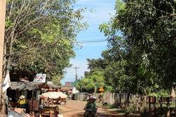 Ma túy ở làng, nỗi đau dai dẳng