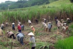 Nỗ lực giảm nghèo ở một huyện miền núi
