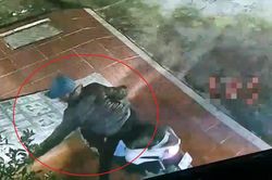 Trộm dùng thòng lọng thắt cổ chó kéo đi ở Hải Phòng