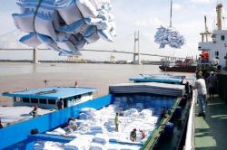 Nghịch lý xuất khẩu gạo