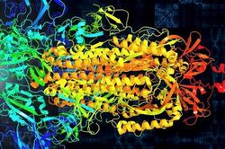 Biến cấu trúc protein hình gai của virus SARS-CoV-2 thànhbản nhạc để hỗ trợ nghiên cứu
