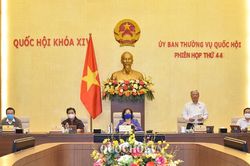 Thông qua Nghị quyết về việc thành lập 3 thị xã thuộc các tỉnh Thanh Hóa, Phú Yên và Bình Định