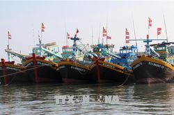 Khắc phục 'thẻ vàng' IUU: Kiểm soát chặt hành trình tàu cá