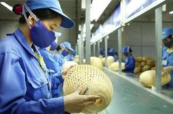 Chính phủ đề xuất giảm 50% thuế thu nhập cho doanh nghiệp nhỏ và vừa