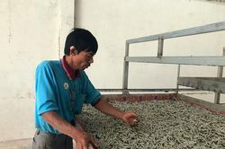 Tà Nung và chuyện người trồng dâu nuôi tằm