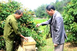 Tiến Bộ nói đi đôi với làm