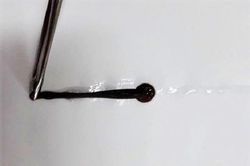Con đỉa ký sinh 10 ngày trong mũi người phụ nữ ở Quảng Nam
