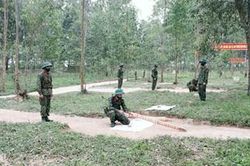 Giải pháp đồng bộ, khắc chế khó khăn