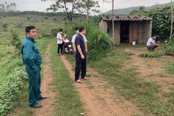 Nam thanh niên bị đánh đập, bắt cóc, tống tiền vì chơi cờ bạc bịp