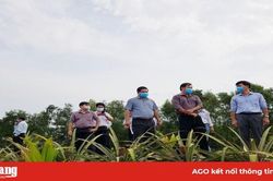 Xây dựng nông thôn mới ở Lương An Trà