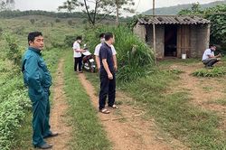 Bị bắt cóc tống tiền vì chơi cờ bạc bịp