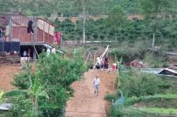 Lai Châu: Mưa đá trên diện rộng, thiệt hại ước tính hơn 15 tỷ đồng