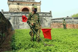 Tiến hành rà soát, xử lý bom, mìn ở khu di tích Kinh thành Huế