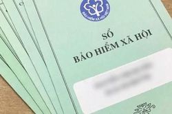 Yên Bái: Tăng cường tuyên truyền ngăn chặn các hành vi trục lợi từ sổ BHXH