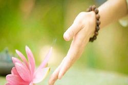Phật dạy: Muốn hạnh phúc, hãy buông bỏ 2 điều