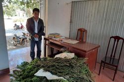 Liên tiếp triệt phá 2 vụ sử dụng, tàng trữ chất ma túy tại Lâm Hà