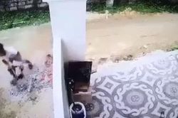 Tìm tài xế xe tải lùi xe cán chết bé trai 1 tuổi rồi phi tang xác