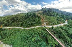 Ngẫm về ứng xử với thiên nhiên trong đại dịch