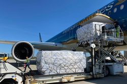Vietnam Airlines 'cõng' lô hàng 'đặc biệt' sang Đức giữa dịch COVID-19