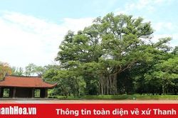 Bảo đảm các điều kiện đón khách an toàn