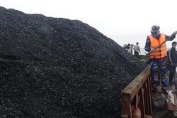 Tạm giữ tàu vận chuyển 120 tấn than không có giấy tờ hợp lệ