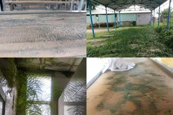 Ngày đầu trở lại trường: Toát mồ hôi khi thấy bàn ghế phủ đầy bụi, nhà để xe 'xanh cỏ'