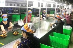 Nỗ lực hỗ trợ doanh nghiệp vượt khó