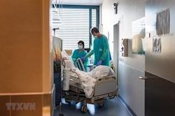 Dịch viêm đường hô hấp cấp Covid-19: Số ca mắc và tử vong giảm tại nhiều nước châu Âu