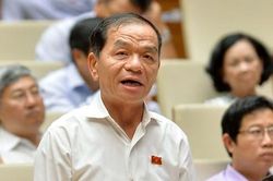 ĐBQH Lê Thanh Vân: 'Loại bỏ cán bộ ngáo danh, thích chơi trội'