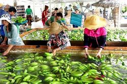 Xuất khẩu nông lâm thủy sản 4 tháng đầu năm giảm 4,9%