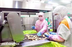Giao thương với Nhật Bản tăng nhanh