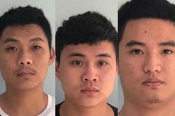 Phá ổ nhóm cung cấp ma túy toàn nhân viên lễ tân nhà nghỉ