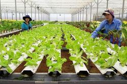 Gần 39 triệu tỷ đồng đổ vào sản xuất kinh doanh nhưng lợi nhuận không cao