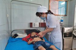 Bốn trẻ nhỏ ngộ độc do ăn thịt cóc