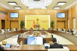 Rút 2 dự án Luật ra khỏi Chương trình xây dựng luật, pháp lệnh năm 2020