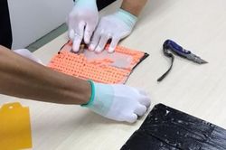 Hải quan TP.HCM phát hiện một lượng lớn thuốc lắc và cần sa từ châu Âu