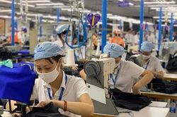 Để được gia hạn chậm nộp phí công đoàn, Bảo hiểm xã hội doanh nghiệp đã 'chết lâm sàng'