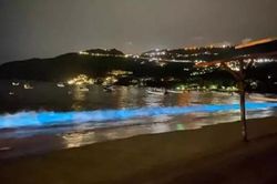 Nước biển Mexico phát ra ánh sáng xanh huyền ảo trong đêm